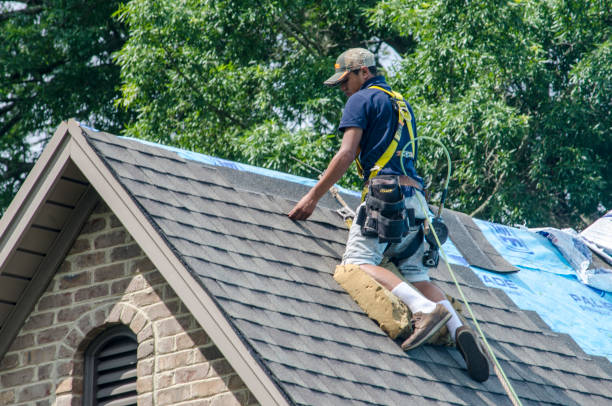 Roof Gutter Cleaning in Benbrook, TX